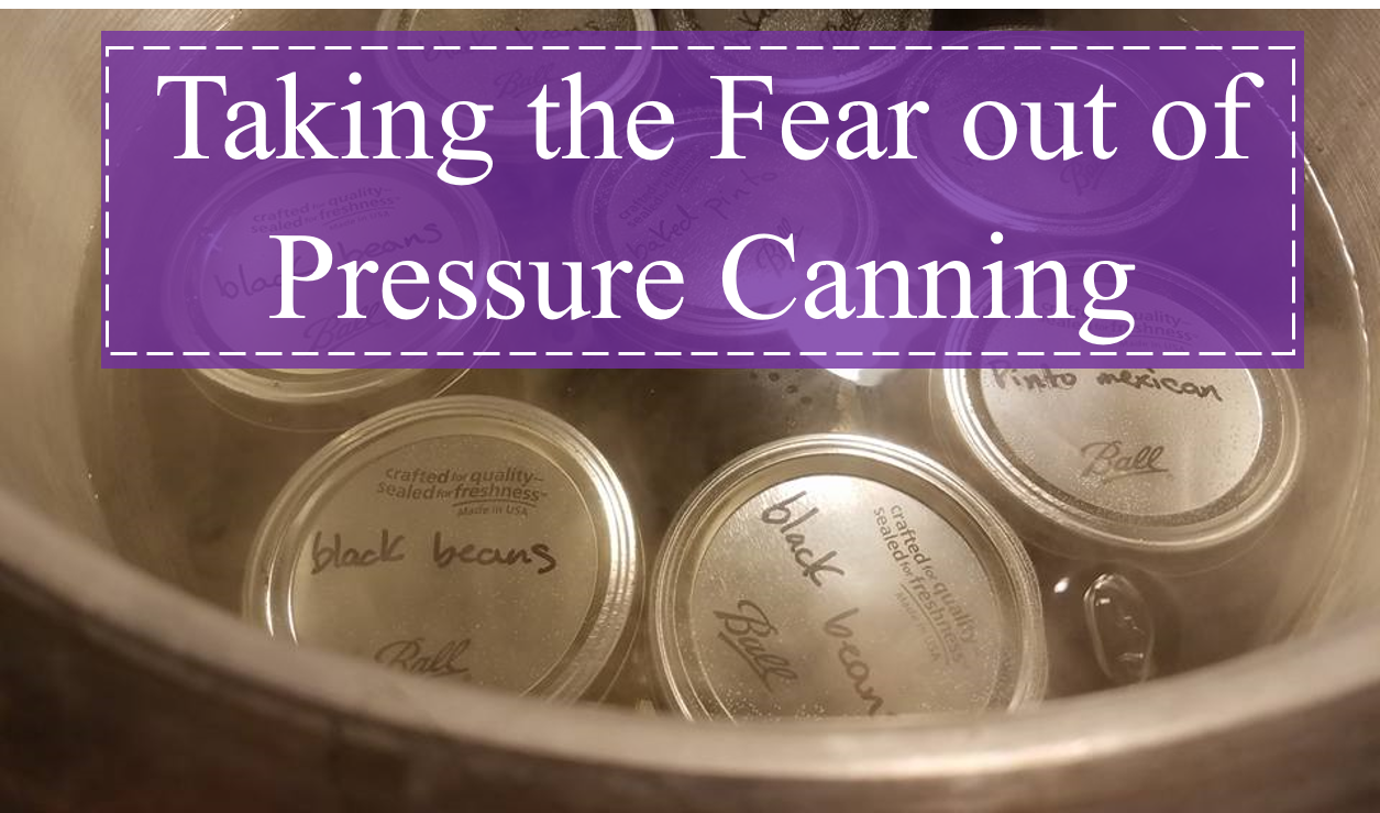 Taking the Fear out of Pressure Canning A Simple Guide