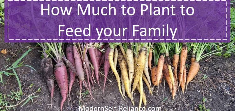 How Much to Plant to Feed Your Family