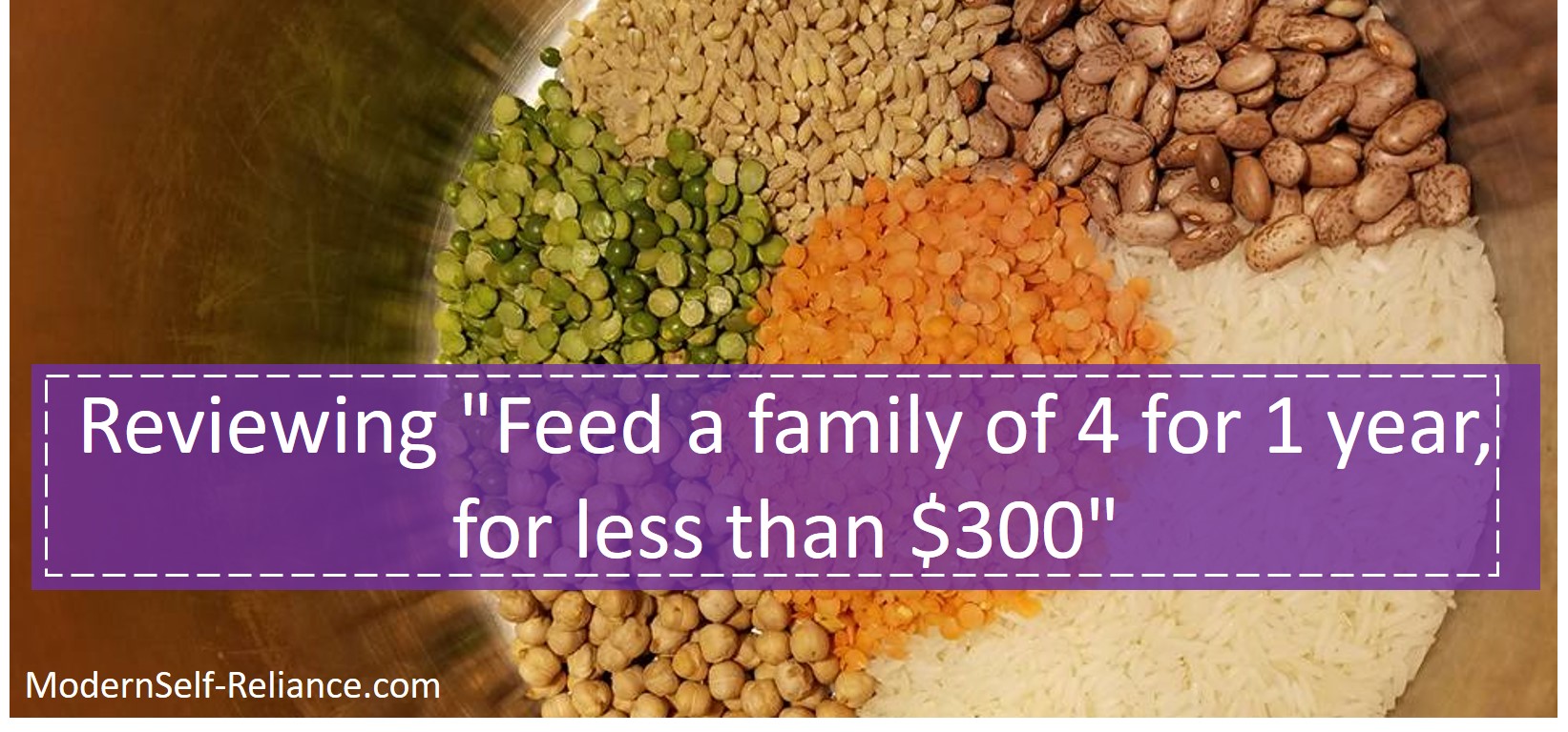 Reviewing "Feed a family of 4 for 1 year, for less than