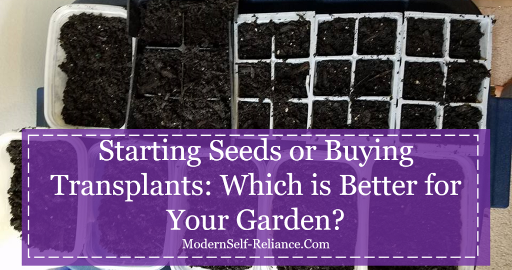 Starting Seeds or Buying Transplants: Which is Better for Your Garden?
