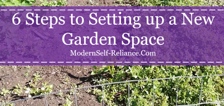 6 Steps to Setting Up a New Garden Space