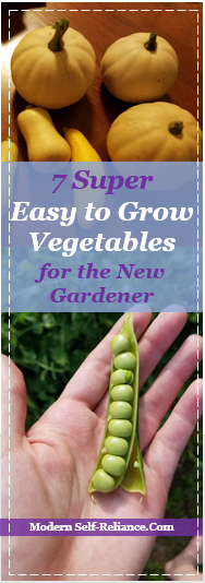 7 Super Easy to Grow Vegetables for the New Gardener