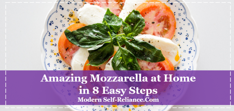 Amazing Mozzarella at Home in 8 Easy Steps