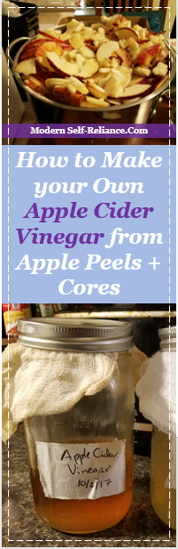 Apple Cider Vinegar pin