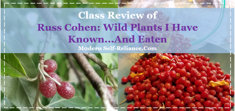 Class Review of Russ Cohen: Wild Plants I Have Known…And Eaten