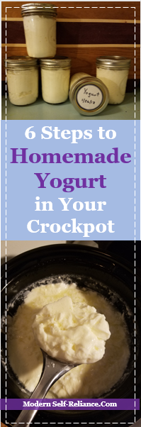 6 Steps to Homemade Yogurt in Your Crockpot