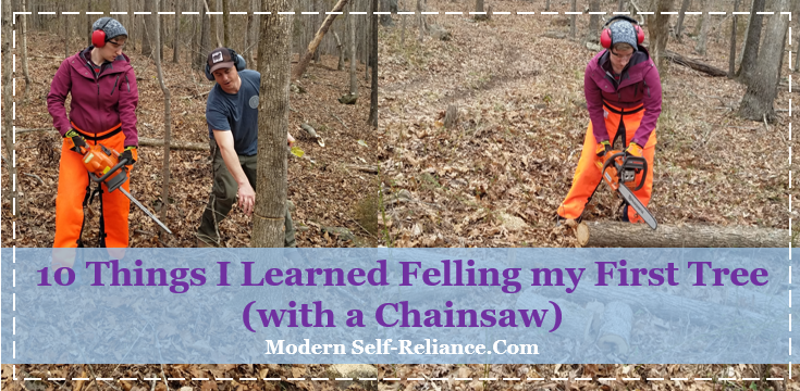 10 Things I Learned Felling my First Tree (with a Chainsaw)
