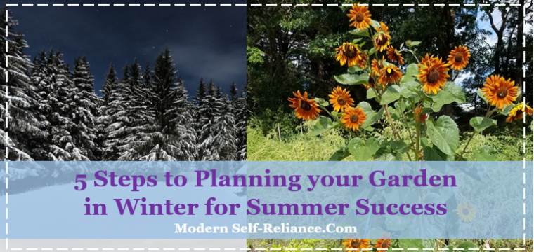 5 Steps to Planning your Garden in Winter for Summer Success
