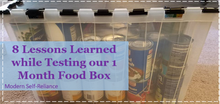 8 Lessons Learned while Testing our 1 Month Food Box